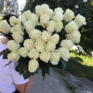 Большой букет роз для извинений купить в Гомеле | Fizalis.by