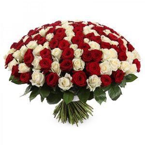 101 роза Эквадор для предложения руки купить в Гомеле | Fizalis.by